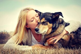 Keep Your Dog's Brain Youthful