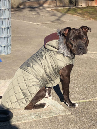 Brezzy's jacket 2