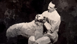 Dog Arthritis