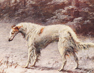 All Dogs