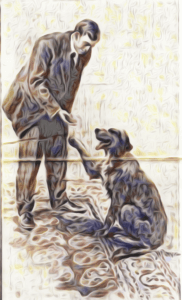 Dog And Man