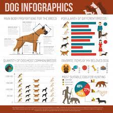 Dog Information