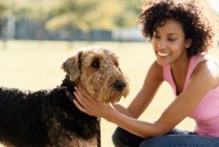 Dog Is Love